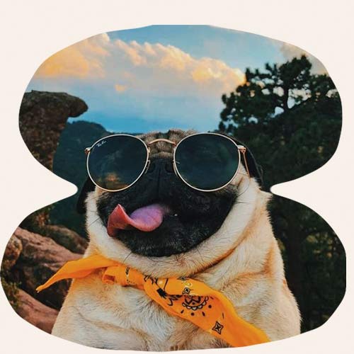 Apprenez à lâcher-prise avec le CBD